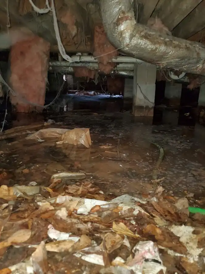 Crawl space flood assessment for Leak Detection & Repair in Pahrump